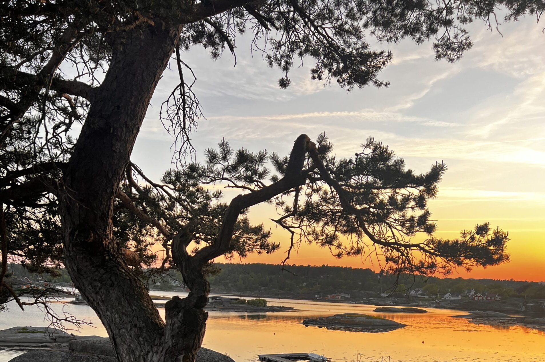 You are currently viewing Hva Tysvær kommune sier om oss